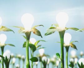 flores com lâmpadas acesas mostrando a importância da energia solar renovável